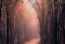 追平最好成绩 郑钦文晋级WTA1000迈阿密站16强.