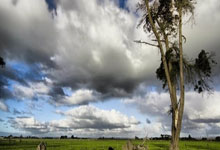 追平最好成绩 郑钦文晋级WTA1000迈阿密站16强.