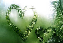 追平最好成绩 郑钦文晋级WTA1000迈阿密站16强.