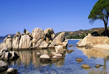 球探网官网：杨鸣：战山东细节决定胜败，张镇麟无法登场，韩德君带伤出战.